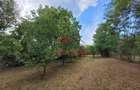 Teren intravilan in Banesti--2093mp--59.000e - 10
