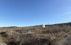 Teren 500mp intravilan Chiperesti, Tomesti 10.400eur - 2