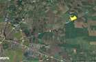 48 ha teren la iesire din Horia, zona de balastiere - 5