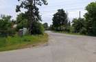 Proiect Greenfield, S.216.967mp, P.U.Z.-Hale, Rezidential, Ilfov. - 4