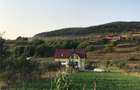 teren intravilan 2400 m2, Radaia, comuna Baciu, Cluj - 3
