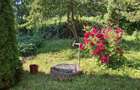 Valea Moldovei, casa P+1+pod, anexa, gradina 500 mp - 5