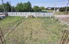 Teren 1000 m2 intravilan Odaia Manolache - 5