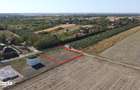 Loc de casa in Viile Satu Mare-Priveliste de poveste - 3