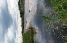 Vand Vila cu deschidere la Lacul Snagov - 1