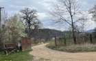 Hala de vanzare - 18246 mp, acces pietruit - 5