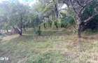 CASA 3 CAMERE TEREN 7770 MP BOTENI ARGE? - 11