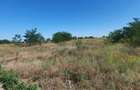 vand teren intravilan Malu Mare 1500 mp - strada Salcamilor - 7