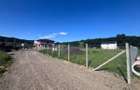 Corunca - Vanzare teren intravilan - Str. Iubirii - 2