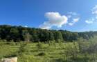 Teren Intravilan 2.000 Mp Zona Valea Chiejdului | Posibilitate Pa - 2