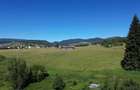 Teren in Bucovina! La Munte! De vanzare! 0727817187 - 11