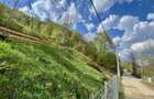 Teren vedere panoramica lac Paltinu si dealuri impadurite in Valea Dof - 13