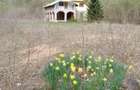 O oaza de natura in inima muntilor: Casa + Teren de 30283 m2 in Tarcau - 1