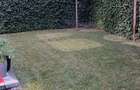 Vila P+2 de inchiriat | Jolie Village Iancu Nicolae | 3.000 - 1