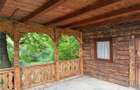 Cabana de vanzare langa Baia Mare
