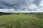 Teren | 13600 mp | Marisel - 5
