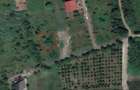 teren Baia Mare zona Aral / Bd.Independentei - 1