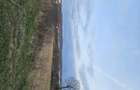 Teren de Vanzare in Curtea de Arges (2645 mp) Ideal Parcelare - 4