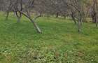 Teren de vanzare in Musate?ti, jude?ul Arge?, zona Maruncioaia, 3560mp, 25m deschidere, 4 EUR/mp - 5