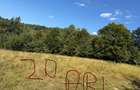 Vand teren extravilan / Zona Salatruc - 8
