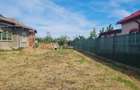 Casă cu 4 camere cu Teren 1276 Mp în Lunca - 3