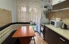 Apartament 2 camere decomandat, cu curte, Drumul Fermei - 10