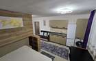 Garsoniera / studio de inchiriat in casa/vila zona case Banat - 2