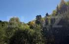 Teren intravilan, 2.000 mp, zona Geamana - Codlea