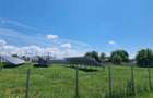 Teren Lunca Siret 2.75 Ha - 3