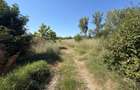 Teren de vanzare, certificat urbanism, 6.325 mp, zona Lapus Arges