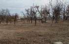 3200 mp teren intravilan Zoita com Ziduri jud Buzau -posibil parcelat