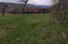 Teren intravilan 6.000 mp, Suceagu zona linistita, aproape de - 3