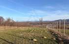 Teren intravilan 809 mp Tropinii Noi langa padurea Dumbrava - 8