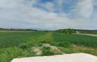 Teren de vanzare in Dealul Mare,localitatea Galicea - 6