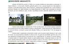 Cabana Veveri?a 3 Valea Doftanei Afacere la Cheie | 10 Camere, Restaurant 60 locuri, Crama, Teren - 4
