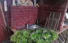 Vand casa in Deva sau schimb cu apartament sau garsoniera+diferen?a - 3
