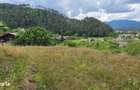 Teren intravilan cu vedere panoramica Sacele, Brasov - 3