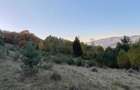 Teren de vanzare pe deal (Ideal Off-Grid, Remote, Retras) - 4