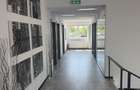 Proprietar inchiriez cladire P+1 birouri, depozit, teren 2.641 mp TM - 4