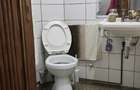 IANCULUI UNATC ,in vila,mobilata,utilata,loc de parcare,curte,Pet friendly - 9