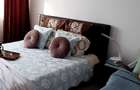 Apartament 2 camere Crangasi Constructorilor - 7