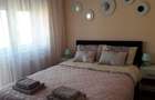 de inchiriat,chirie apartament 2 camere Nufarul ,bloc nou - 2