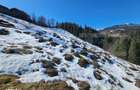 Teren 2 ha, cu padure proprie si panorama spre munti, Arieseni - 5