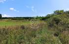 Parcele teren 4038 mp - Parcelabil - Zona Valea Stanelor - 2