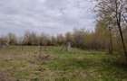 Teren 3500mp, 7parcele, Dealul Grosi-Castel Transilvania - 1