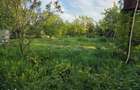 Casa cu 4 camere, mobilata, Mosteni, 35000 EUR - 7