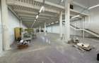 Inchiriem SPATIU-DEPOZIT - zona industriala -Tulcea - 1