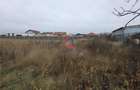 Teren intravilan de vanzare Albina, Timis 759 mp - 2