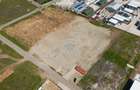 Teren 10.000 mp Domne?ti - Centura Bucure?ti - Betonare... - 2
