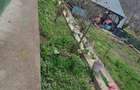 Vand casa Radesti,racordata la gaze,curent,apa si canalizare - 16